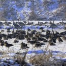 한강유역환경청 화장실 이미지