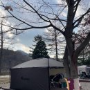 금곡작은도서관 | 11월 주말 일상 캠프닉&amp;파주 장단콩 축제