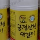 내금정 이미지