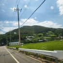 엘시아 애견풀빌라 이미지