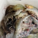 [당진맛집] 대하 새우직판장 &#34;진흥수산&#34; 방문후기(주차, 식사가능)
