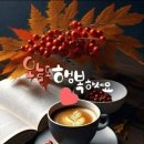 만개 Daum카페
