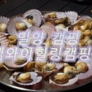 엠와이힐링캠핑장 이미지