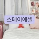 스테이에셀 이미지
