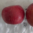 거창청과 이미지