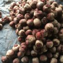 산적농장 이미지