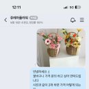 쥬레아플라워
