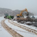 기민농장 이미지