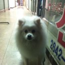 현대아파트세탁소 이미지