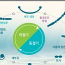 (주)비오지노키 이미지