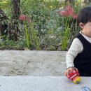 은파호수공원 9-6 이미지