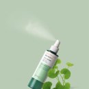 (주)홈스킨이노베이션즈코리아 | 🇨🇦캐나다 여행 준비물 추천｜직접 사서 가져간 필수템 정리 (쿠팡, 네이버쇼핑, 다이소 등)