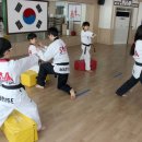 선라이즈 태권도 이미지