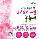 코스모스PC 이미지