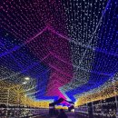 성심카정비 이미지