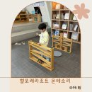 벨포레리조트 몬테소리 예약, 한국몬테소리 교구 6세 체험 수업