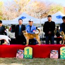 서울애견 이미지