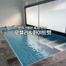 창영아고기묵자 | [가평 숙소]반려견, 영아 동반 수영장 있는 독채펜션 후기&lt;오블리&amp;화이트펫 펜션&gt;
