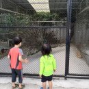 동동공원 아이나래 공원 | [공지] 여수아이랑 가볼만한 곳 이거 하나면 여수여행일정 짜기 편할거에요 긴글주의