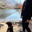 [11월일상]#5.수족구병 완치 그리고 어린이집 재적응기