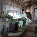 나문재관광농원 이미지