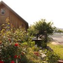 로즈마리 정원 이미지