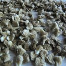 장현3리 이미지