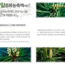 (주)채이은