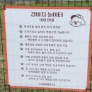 댕댕이연구소 | [대구] 천연잔디애견카페 대구근교애견카페 도남개생활연구소