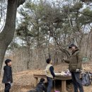 곰솔농장 이미지