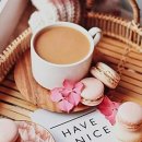 백야 주식회사 이미지