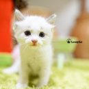 리터바이 이미지