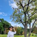 이함미술관 이미지