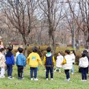 행복숲유치원 | 🌸 예원유치원 숲체험활동 후기 | 4월 첫날 민들레 로제트 관찰 자연놀이 (유아숲체험)