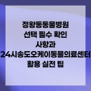 24시송도오케이동물의료센터 이미지