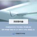 미래플란트치과의원 네이버블로그