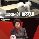 건모하우스 스포츠조선