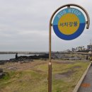 서치강물 네이버블로그