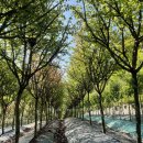 그린농장2 이미지