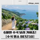 온평리(혼인지마을)농촌체험휴양마을 | 2026 전국 수국 명소 총정리｜6월 국내여행 수국축제 BEST 10