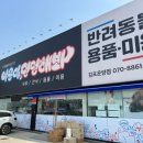 야옹아멍멍해봐 김포운양점 | [김포애견미용] 야옹아멍멍해봐 김포운양점에서 말티푸베이비컷 미모 환장