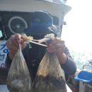 군산대박 이미지