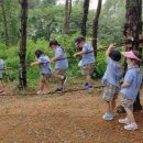 금촌유아숲체험원 이미지