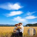 바다회집현대코아점 | 직접 선주가 운영하는 횟집! 강화도 횟집 진복호에서 맛본 '진짜' 바다의 맛