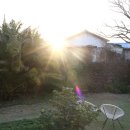 소소한 하룻밤 이미지