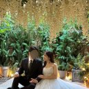 오세철헤어드레스 | wedding#08 강남 줄리의정원 스튜디오 8월 촬영 후기 (유수민작가님 지정)