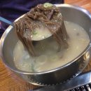 도토리고을 이미지