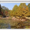 광릉수목원 이미지