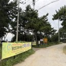 원산도비치캠핑장 | 바다뷰 추천 캠핑장 | 사계절을 다 보내본 내가 말하는 보령 원산도 소록도 야영장 완벽 가이드 🌊