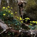 광덕3로 이미지